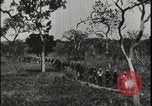 Image of David Livingstone Tanzania East Africa, 1925, second 60 stock footage video 65675078572