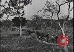 Image of David Livingstone Tanzania East Africa, 1925, second 61 stock footage video 65675078572
