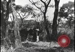 Image David Livingstone meurt Zambie, 1925, de la seconde 9 séquences d'archives historiques vidéo 65675078577