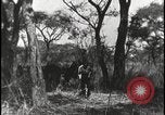 Image David Livingstone meurt Zambie, 1925, de la seconde 11 séquences d'archives historiques vidéo 65675078577