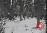 Image of Finnish soldiers Winter War Eastern Finland, 1939, second 12 stock footage video 65675078582