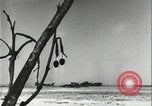 Standbild Alliierte Soldaten eindringenden Strand Pacific Theater, 1944, aus Sekunde 45 historischem Filmmaterial Videoclip 65675078603