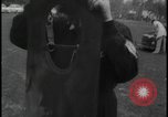 Image of Catalina Island hot air balloon race disaster Catalina Island California USA, 1964, second 20 stock footage video 65675078609