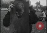Image of Catalina Island hot air balloon race disaster Catalina Island California USA, 1964, second 21 stock footage video 65675078609