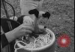 Image of Catalina Island hot air balloon race disaster Catalina Island California USA, 1964, second 38 stock footage video 65675078609