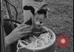 Image of Catalina Island hot air balloon race disaster Catalina Island California USA, 1964, second 39 stock footage video 65675078609