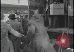 Image of Jews arriving in Palestine Palestine, 1947, second 15 stock footage video 65675078611