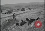 Image of Jews arriving in Palestine Palestine, 1947, second 17 stock footage video 65675078611