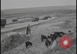 Image of Jews arriving in Palestine Palestine, 1947, second 21 stock footage video 65675078611
