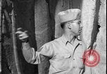Image of United States soldiers inspect Fath Ali Shah Inscription WW2 Rey Iran, 1944, second 57 stock footage video 65675078630