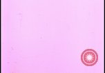 Image of two atomic bomb mushroom clouds Nevada United States USA , 1958, second 4 stock footage video 65675078693