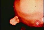 Image of atom bomb fireball structure formation Bikini Atoll Marshall Islands, 1958, second 6 stock footage video 65675078696
