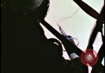 Image of radiation measuring device deployed Cold War Bikini Atoll Marshall Islands, 1958, second 9 stock footage video 65675078697