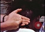 Image of fallout victims examined Bikini Atoll Marshall Islands, 1954, second 28 stock footage video 65675078698