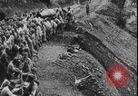Image L'Italie entre dans la première Guerre mondiale Italie, 1915, de la seconde 42 séquences d'archives historiques vidéo 65675078705