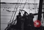 Image of Battle of Dunkirk Dunkirk France, 1940, second 38 stock footage video 65675078731