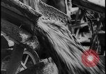 Image of Siegfried Line Germany, 1938, second 40 stock footage video 65675078735