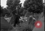 Image of Siegfried Line aerial Germany, 1938, second 6 stock footage video 65675078738