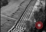 Image of Siegfried Line aerial Germany, 1938, second 37 stock footage video 65675078738