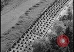 Image of Siegfried Line aerial Germany, 1938, second 41 stock footage video 65675078738