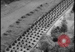 Image of Siegfried Line aerial Germany, 1938, second 42 stock footage video 65675078738