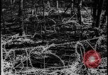 Image of Siegfried Line Germany, 1938, second 25 stock footage video 65675078740