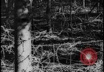 Image of Siegfried Line Germany, 1938, second 27 stock footage video 65675078740