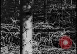 Image of Siegfried Line Germany, 1938, second 28 stock footage video 65675078740