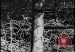 Image of Siegfried Line Germany, 1938, second 29 stock footage video 65675078740