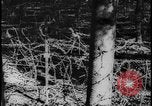 Image of Siegfried Line Germany, 1938, second 30 stock footage video 65675078740