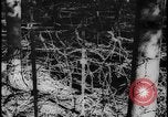 Image of Siegfried Line Germany, 1938, second 31 stock footage video 65675078740