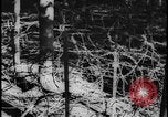 Image of Siegfried Line Germany, 1938, second 32 stock footage video 65675078740