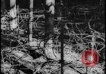 Image of Siegfried Line Germany, 1938, second 33 stock footage video 65675078740