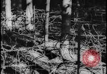 Image of Siegfried Line Germany, 1938, second 34 stock footage video 65675078740