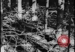 Image of Siegfried Line Germany, 1938, second 35 stock footage video 65675078740