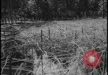Image of Siegfried Line Germany, 1938, second 37 stock footage video 65675078740