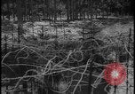 Image of Siegfried Line Germany, 1938, second 41 stock footage video 65675078740