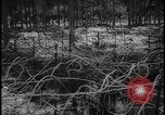Image of Siegfried Line Germany, 1938, second 43 stock footage video 65675078740
