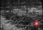 Image of Siegfried Line Germany, 1938, second 44 stock footage video 65675078740