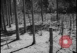 Image of Siegfried Line Germany, 1938, second 53 stock footage video 65675078740