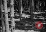 Image of Siegfried Line Germany, 1938, second 60 stock footage video 65675078740