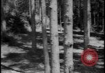 Image of Siegfried Line Germany, 1938, second 61 stock footage video 65675078740