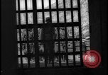 Image of Siegfried Line tank obstacles Germany, 1938, second 50 stock footage video 65675078742