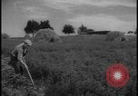 Image of Siegfried Line Germany, 1938, second 15 stock footage video 65675078745