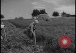 Image of Siegfried Line Germany, 1938, second 16 stock footage video 65675078745