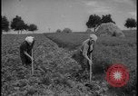 Image of Siegfried Line Germany, 1938, second 17 stock footage video 65675078745