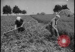 Image of Siegfried Line Germany, 1938, second 19 stock footage video 65675078745