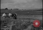 Image of Siegfried Line Germany, 1938, second 21 stock footage video 65675078745