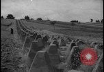 Image of Siegfried Line Germany, 1938, second 30 stock footage video 65675078745