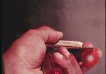 Image of crime evidence gathered examined United States USA, 1970, second 42 stock footage video 65675078754